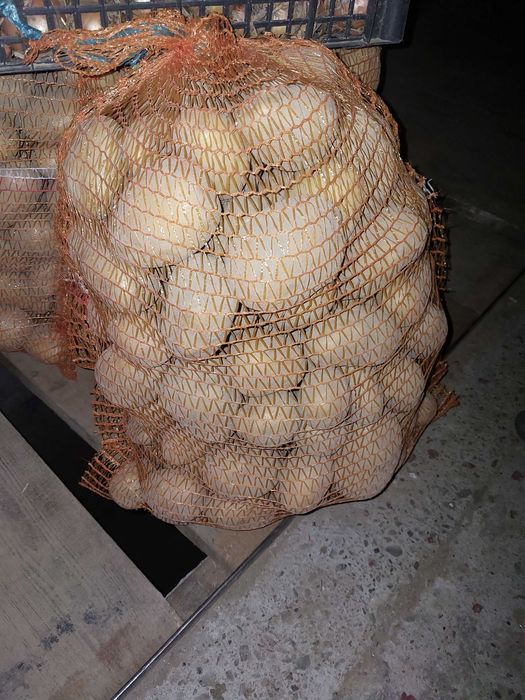 Ziemniaki jadalne soraya