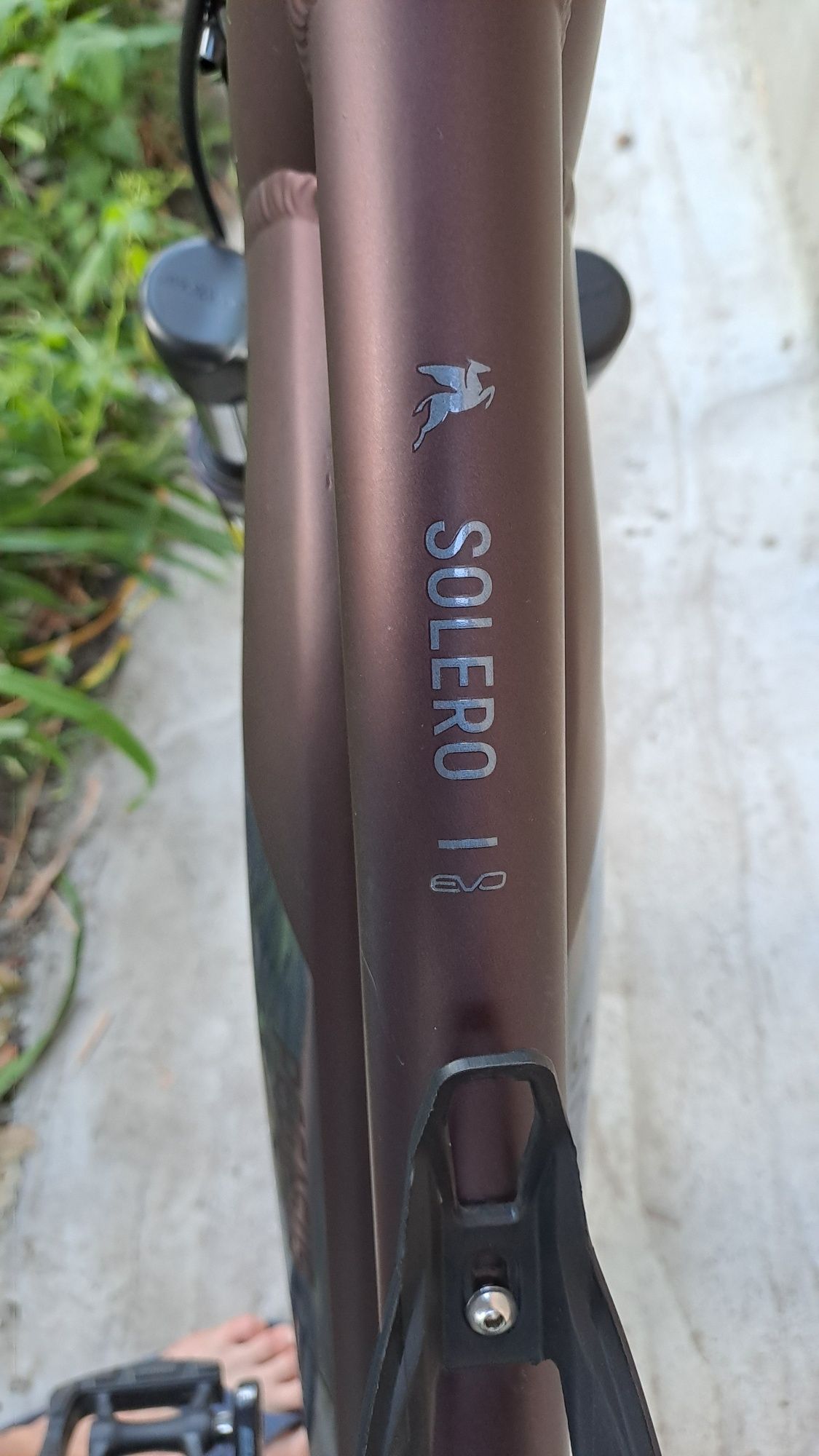 Электровелосипед Pegasus Solero EVO 9 2023