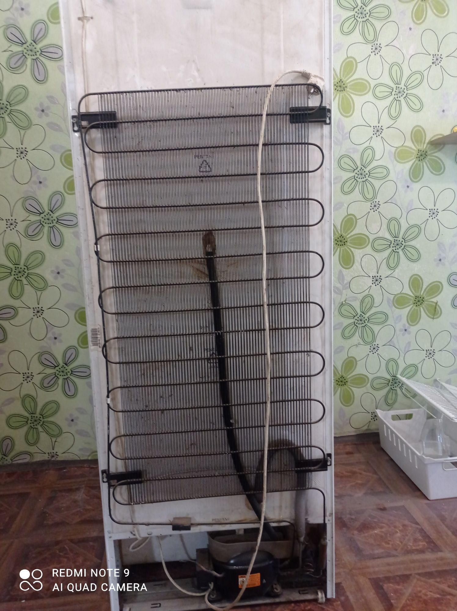 Холодильник, ZANUSSI