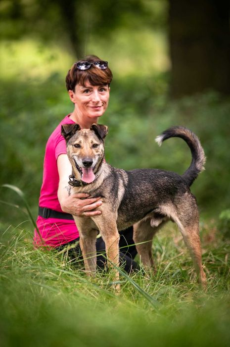 Miszel - piękny, sympatyczny psiak ADOPCJA