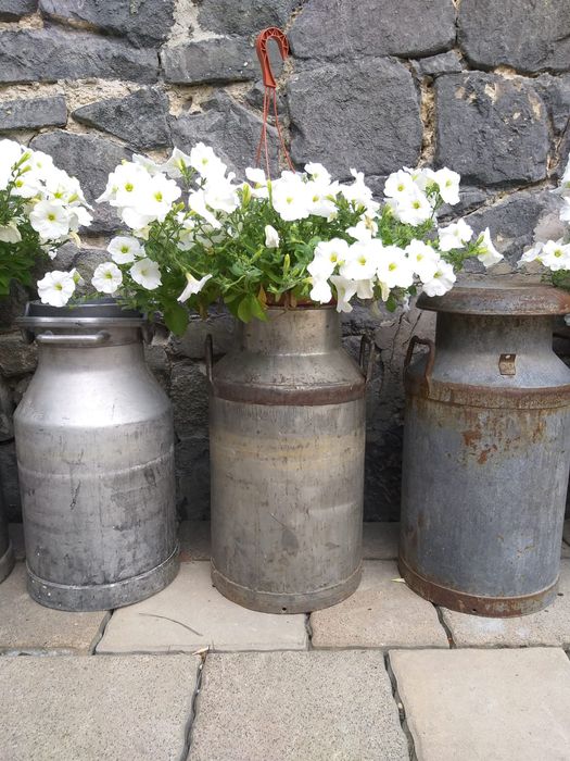 Zabytkowa stara kanka na mleko