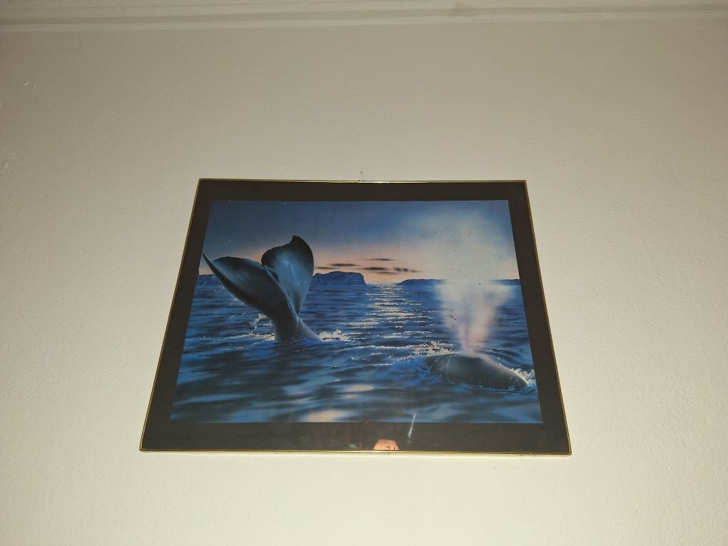 Quadro de um peixe