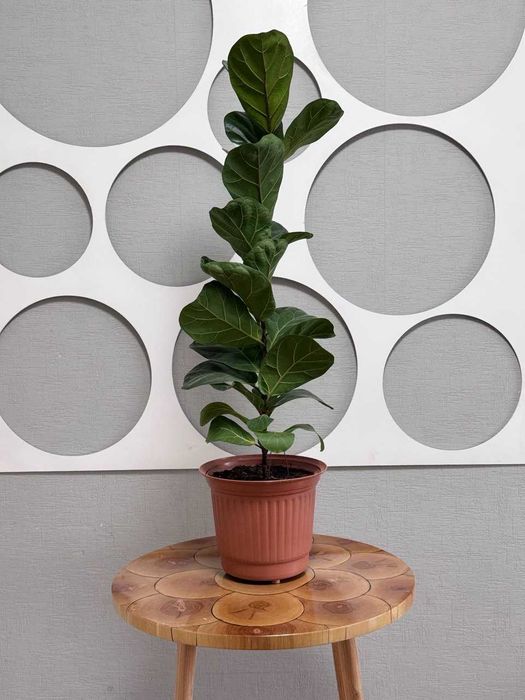 Стіл ручної роботи з епоксидною смолою та натурального дерева берези