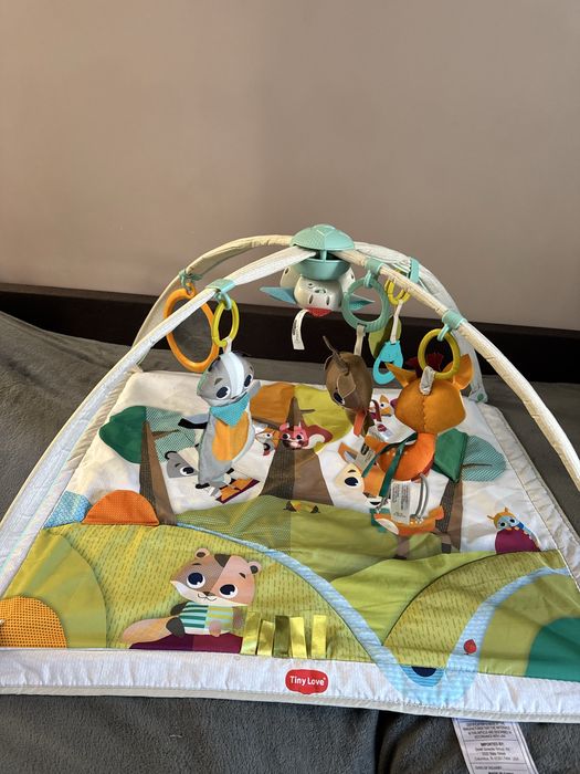 Развивающий коврик с дугами Tiny Love
