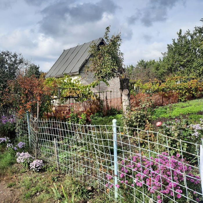 Продаётся дача 4 соток 


---

Продаётся дача в