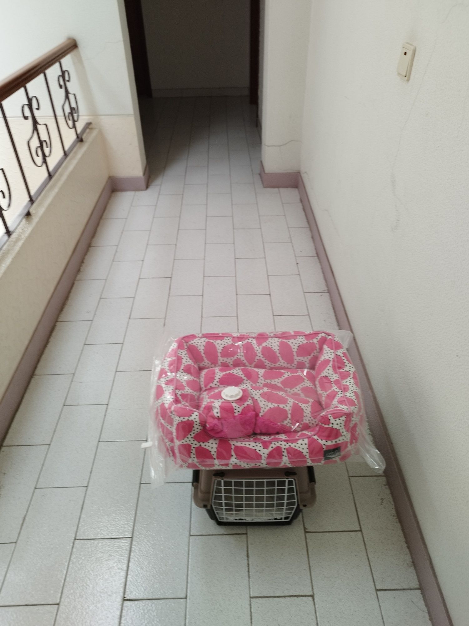 Caixa transporte e cama para cachorro