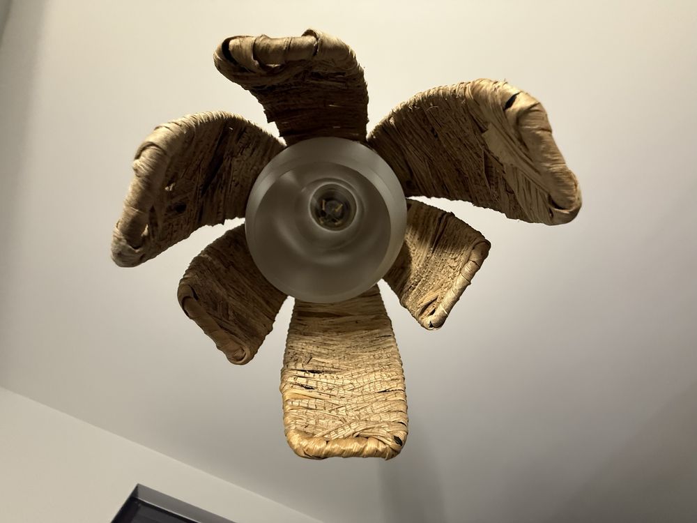 Lampa wisząca Eglo Mongu