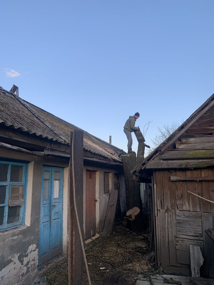 Арборістика валка дерев будь-якої складності