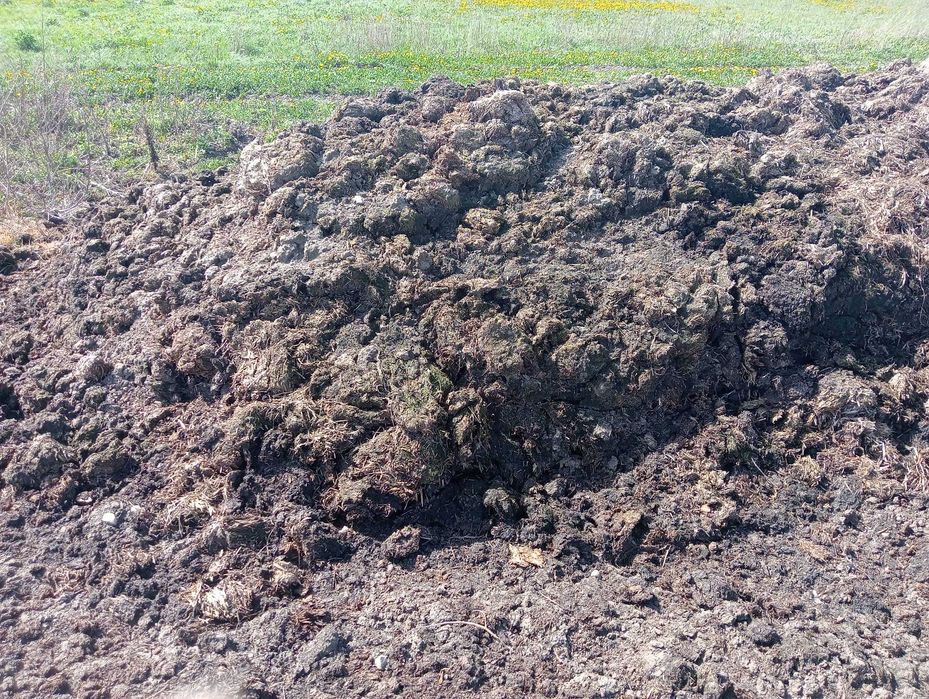 Obornik bydlęcy w workach