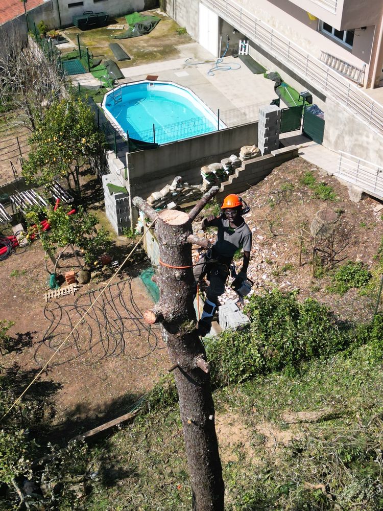 Limpeza terrenos /corte de arvores dificeis /jardins jardinagem
