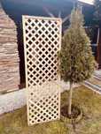 Kratownica Drewniana Pergola Trejaż 60x180 cm