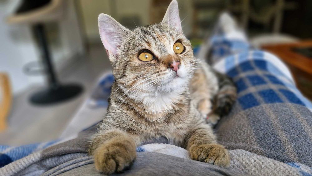 Witaminka na zdrowie :D