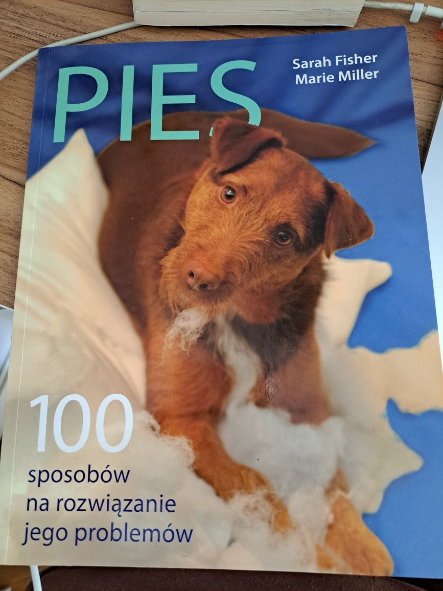 PIES 100 sposobów na rozwiązanie jego problemów