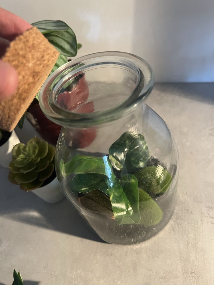Conjunto de plantas de decoração