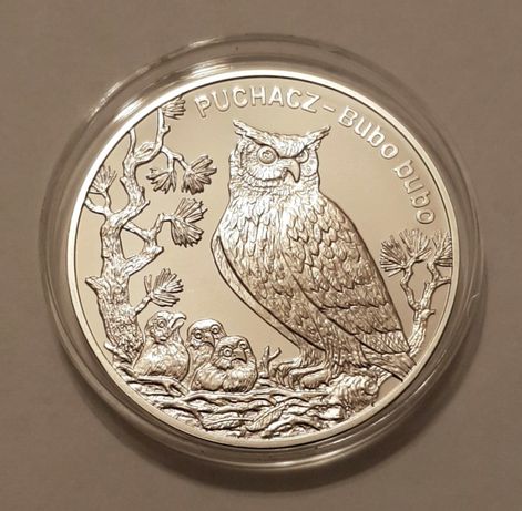 Moneta srebrna 20zł - Puchacz