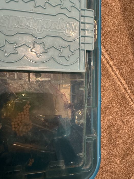 Набор бисера Aquabeads Sweet на водной основе