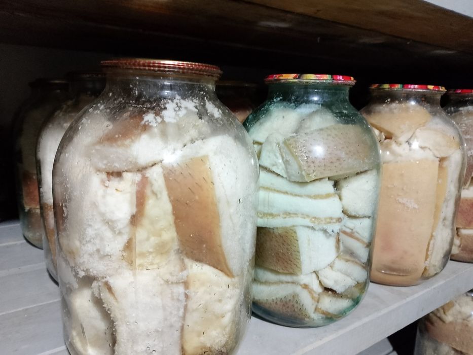 Продам сало в банках.