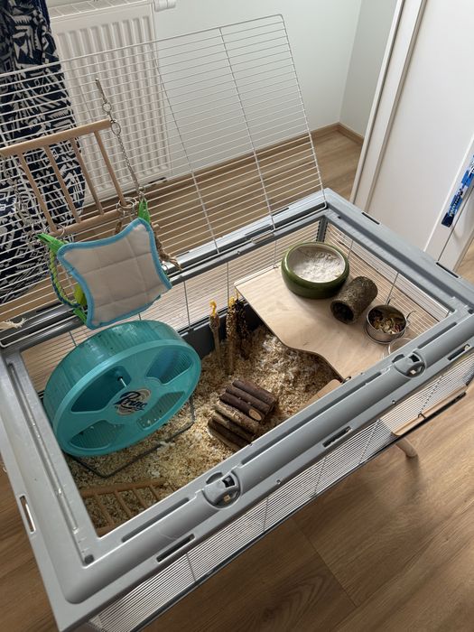 Klatka akcesoria i jedzonko dla chomika syryjskiego