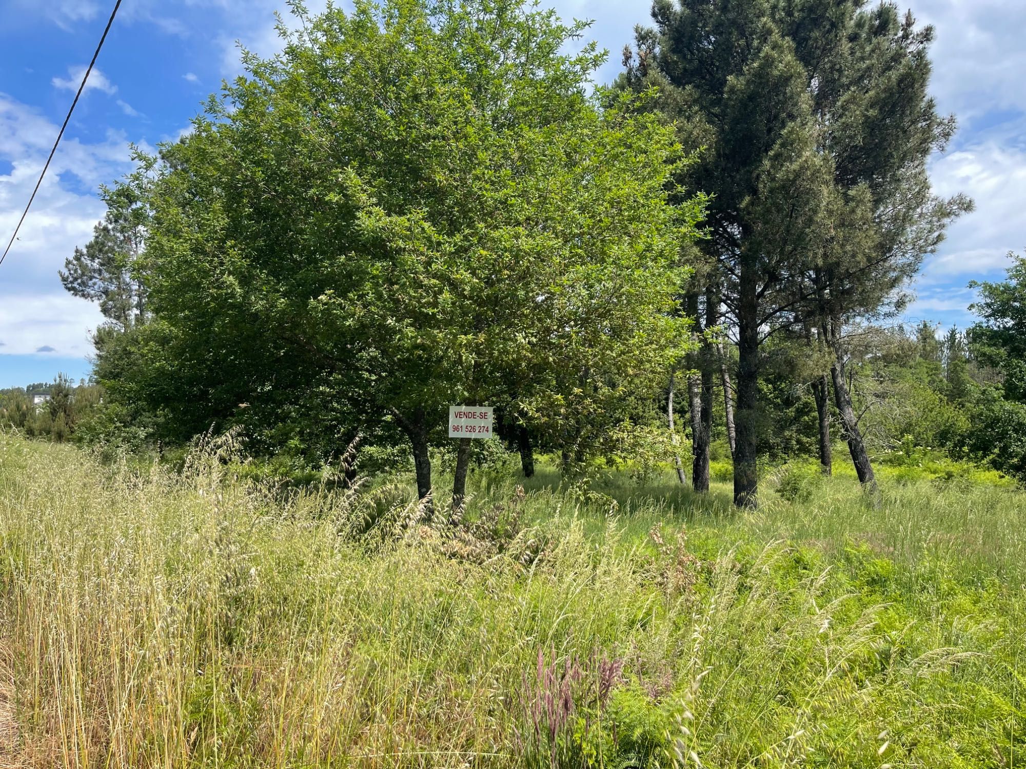 Terreno para construção em Lages 7 mil m2