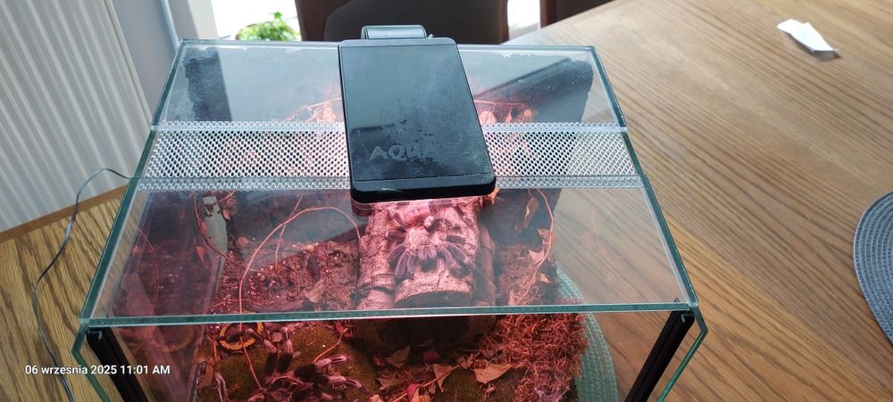 Terarium dla pająka.