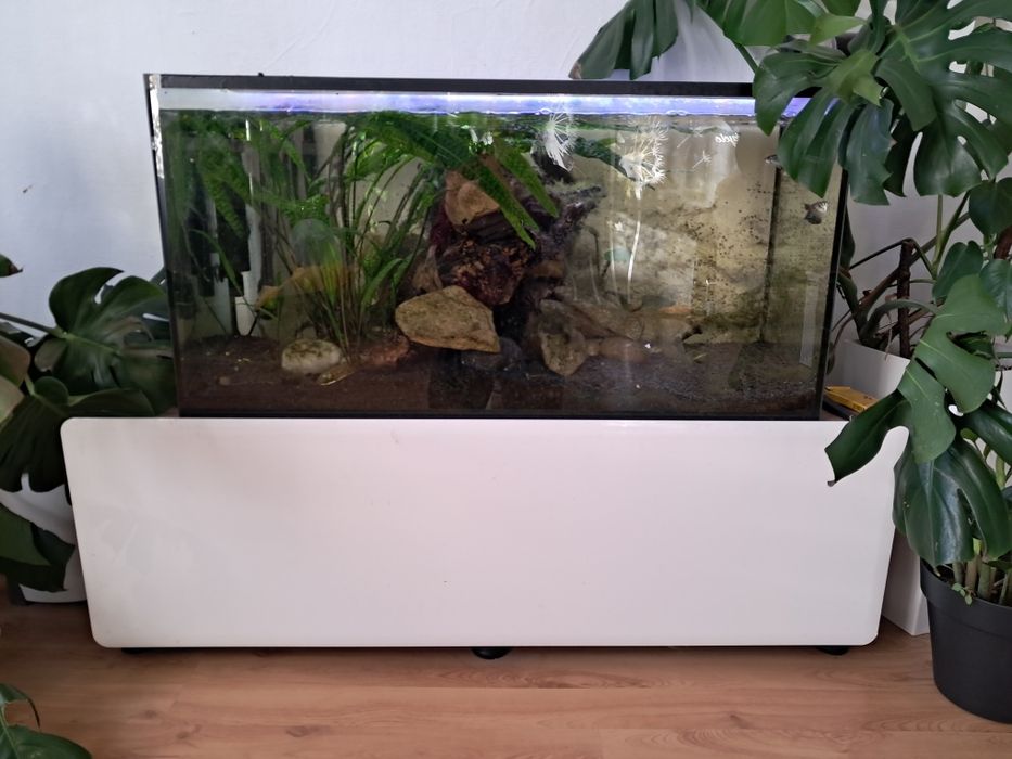Akwarium 200 litrów