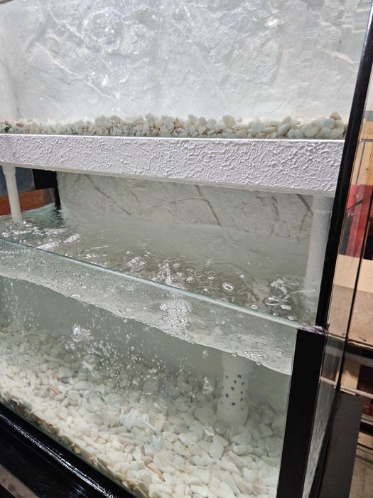 Aquário para Marisco