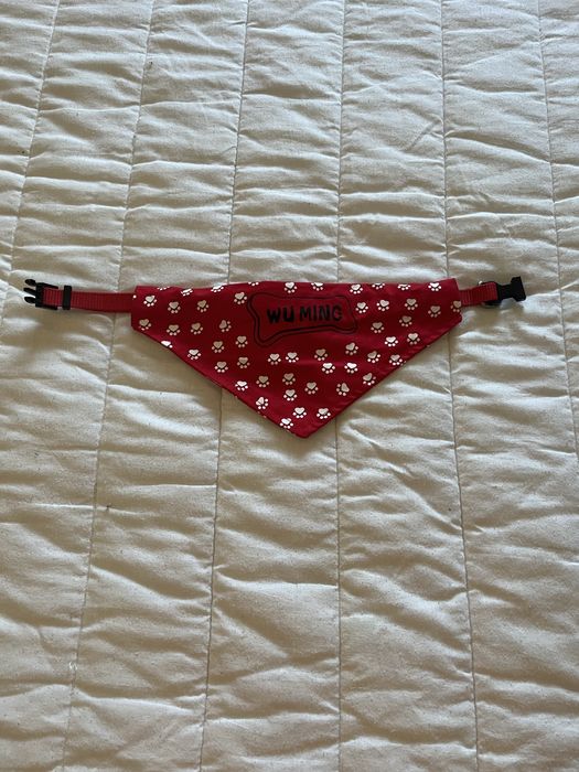 Bandana e coleira para cão ou cadela