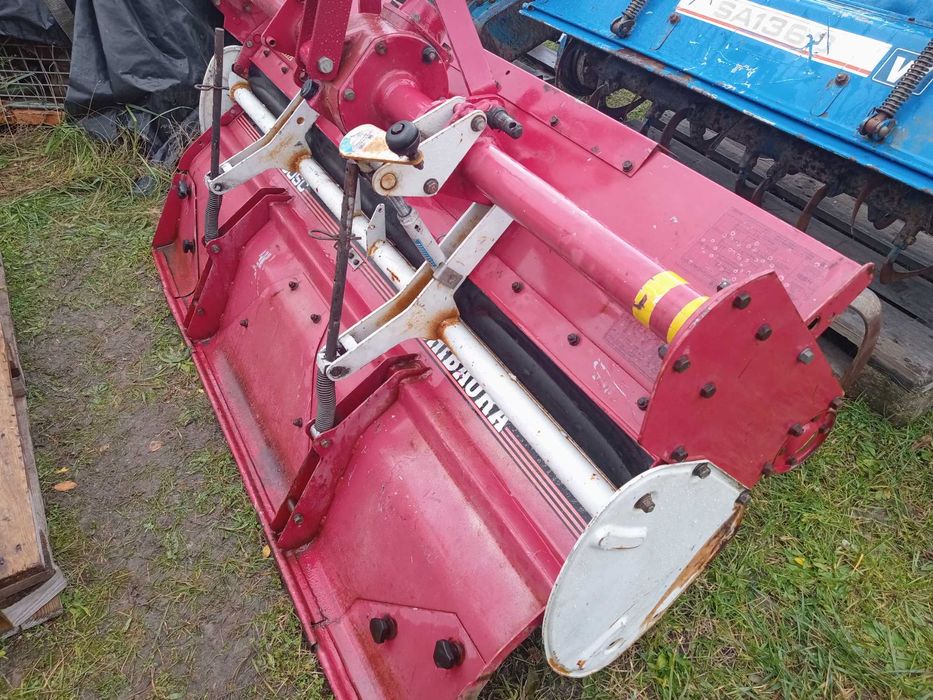 Glebogryzarka Japońska Szer 1.55 cm.