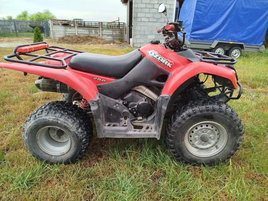 Quad Suzuki Ozark 250