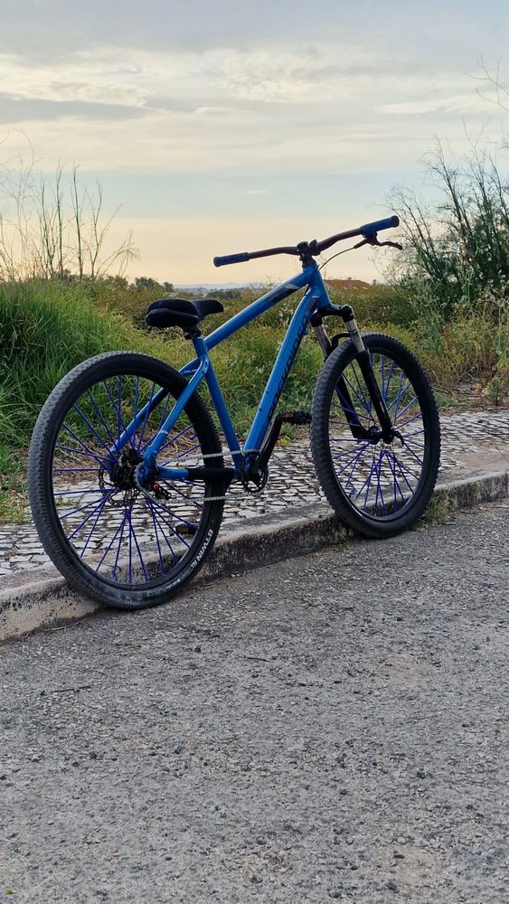 bicicleta wheelling