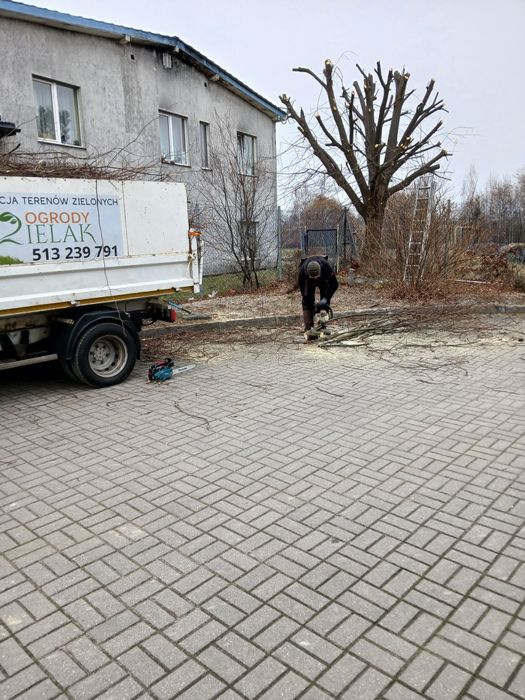 Przycinki drzew,wycinki drzew