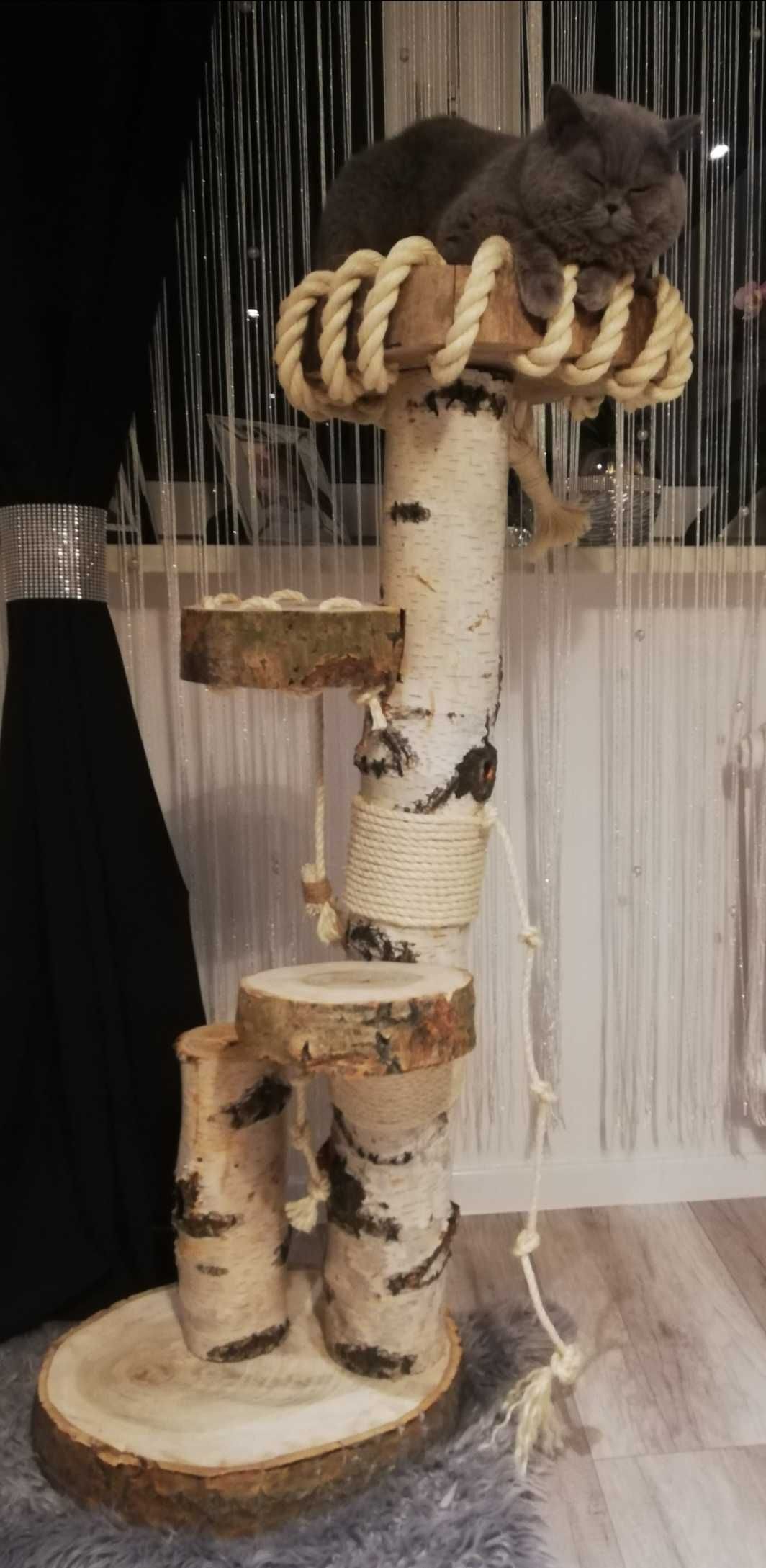 Drapak naturalny z drzewa dla kota