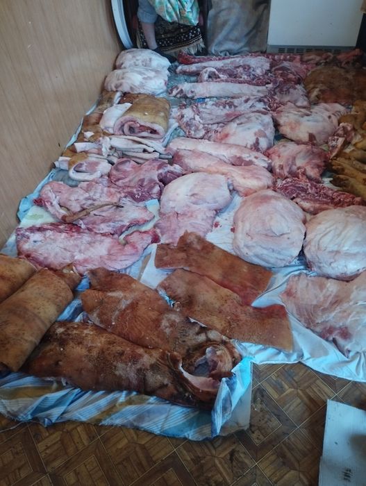 Тушка домашньої свинини.