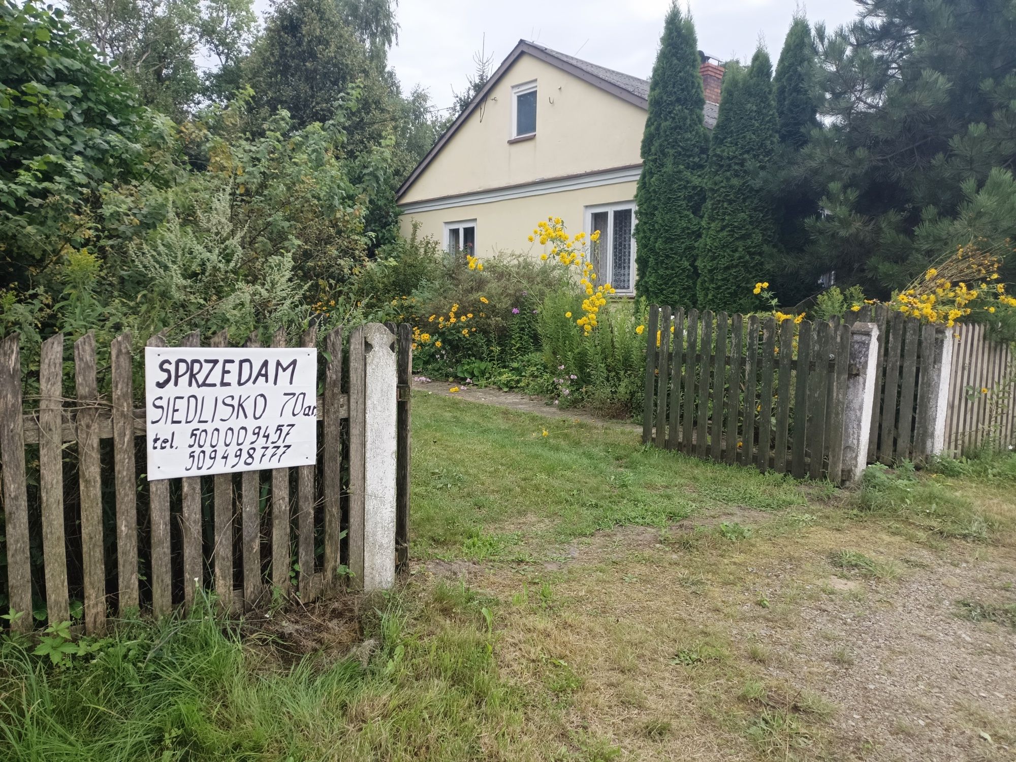 Siedlisko z domem