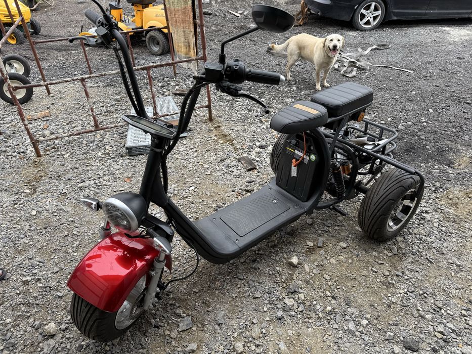 3 kolowiec elektryczny Bili Coco