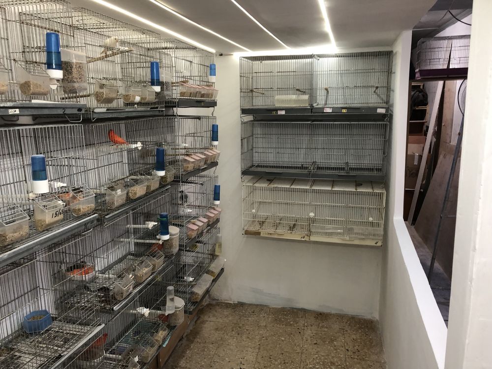 Varias gaiolas e voadeiras para cedencia