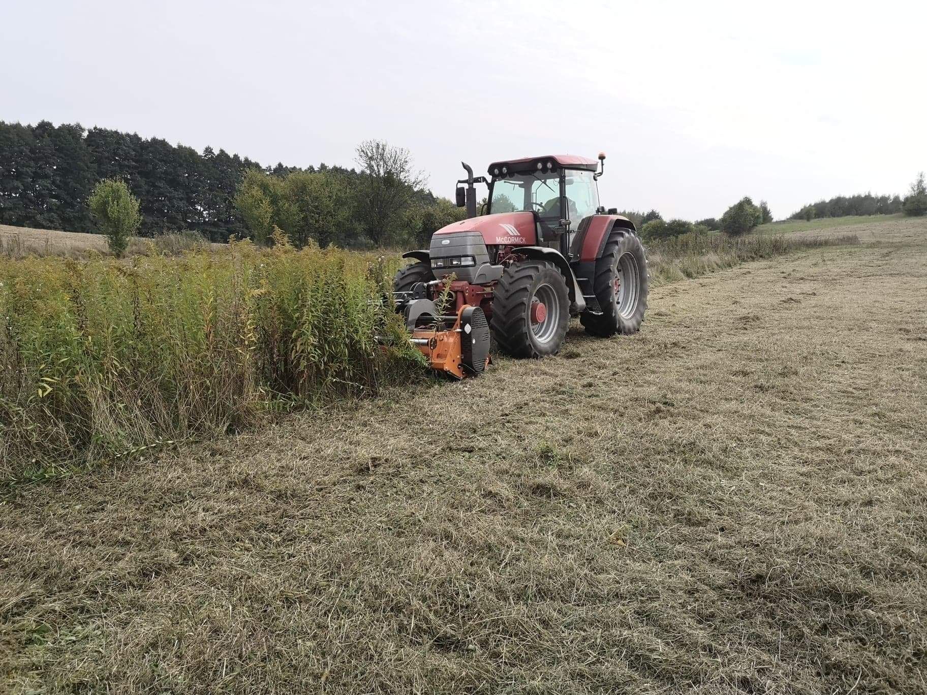 koszenie nieużytków mulczowanie karczowanie