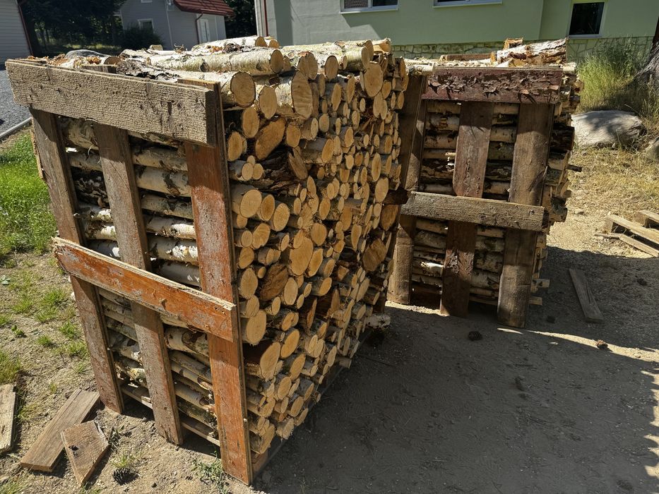 Brzoza drewno kominkowe