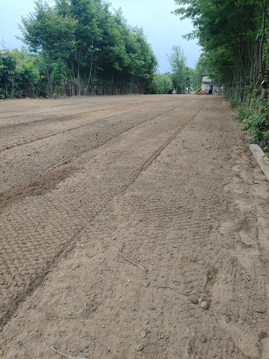 Glebogryzarka separacjna minikop sprzątanie porządkowanie mulczer