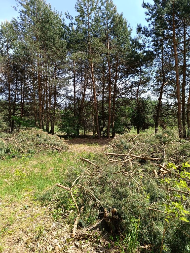 Działka budowlana rolna leśna Radom numer 84/4