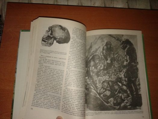 Skąd przychodzisz Adamie - Josef Kleibl