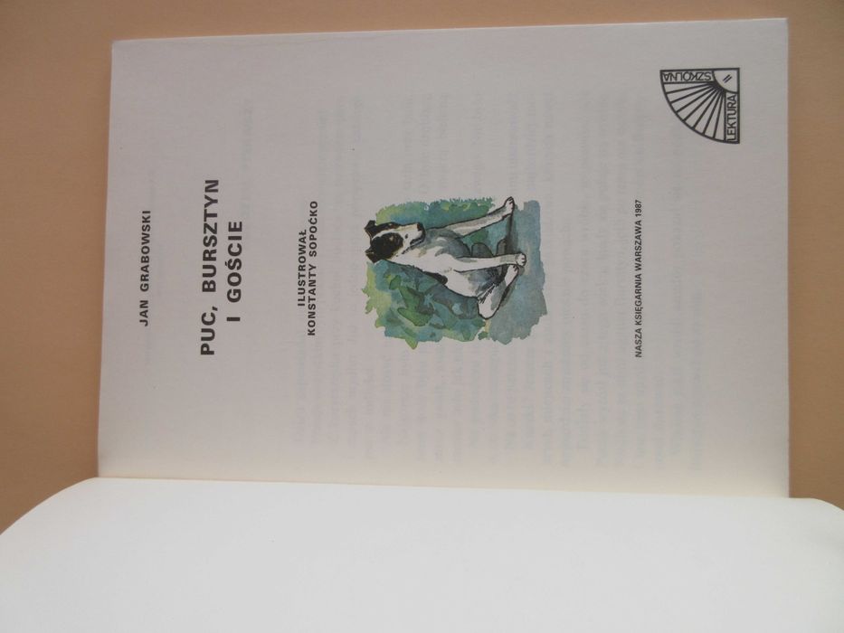 Książka Puc Bursztyn i goście 1987 rok Jan Grabowski