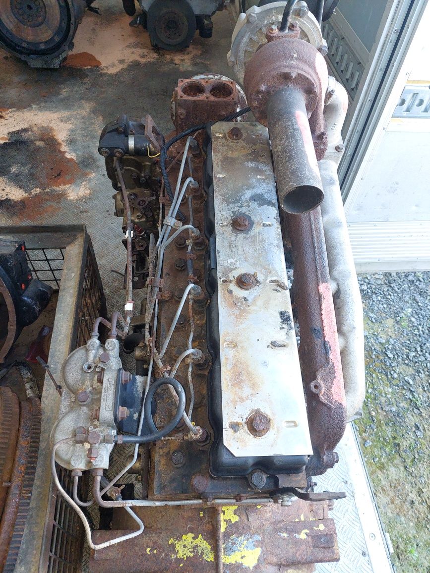 Silnik perknis y6 massey ferguson