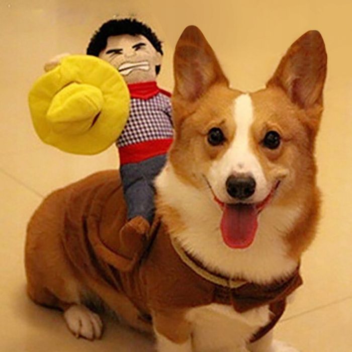 Nowość Kowbojski Strój dla Psa rozm S