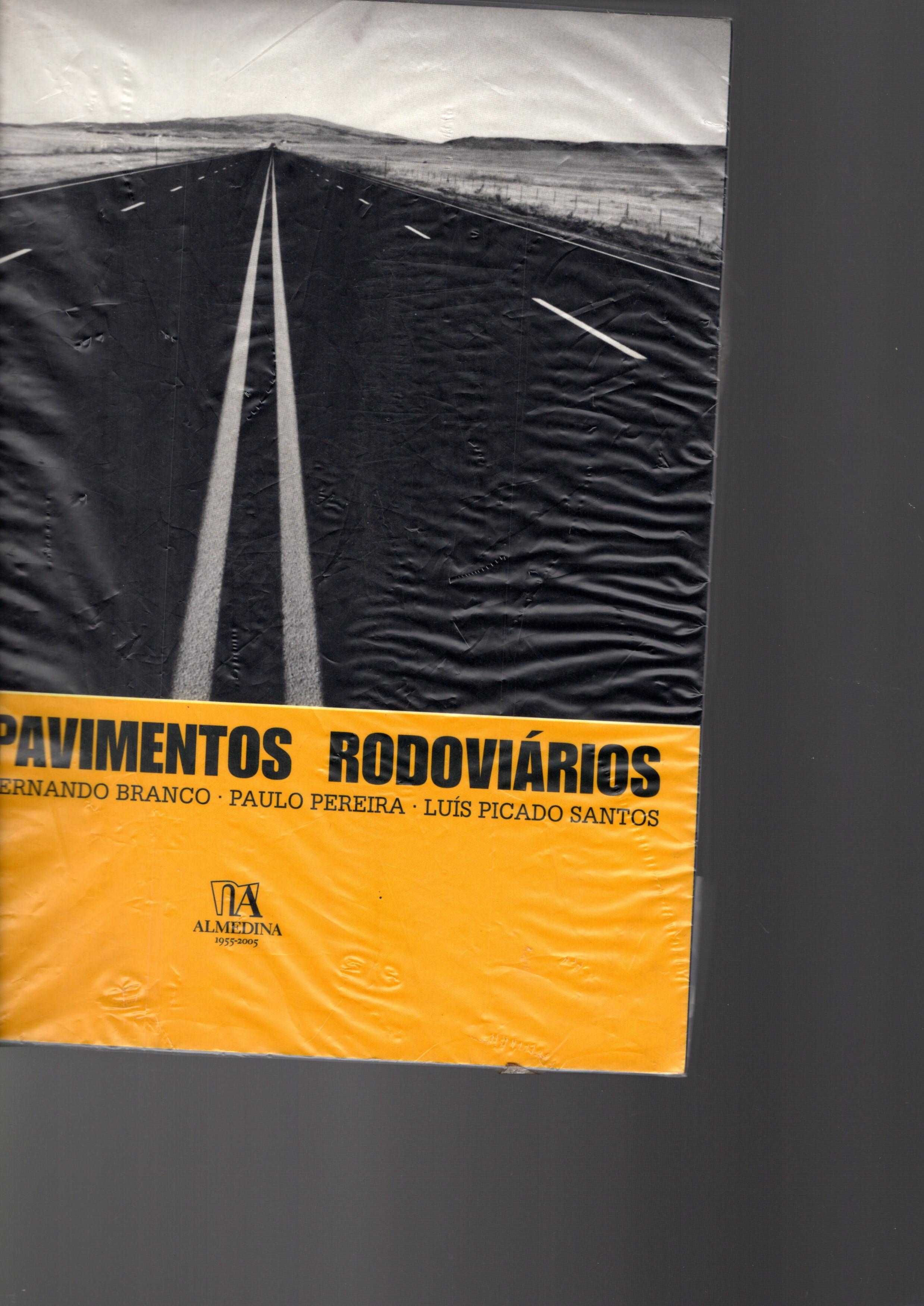 Pavimentos Rodoviários e Aeroportuários