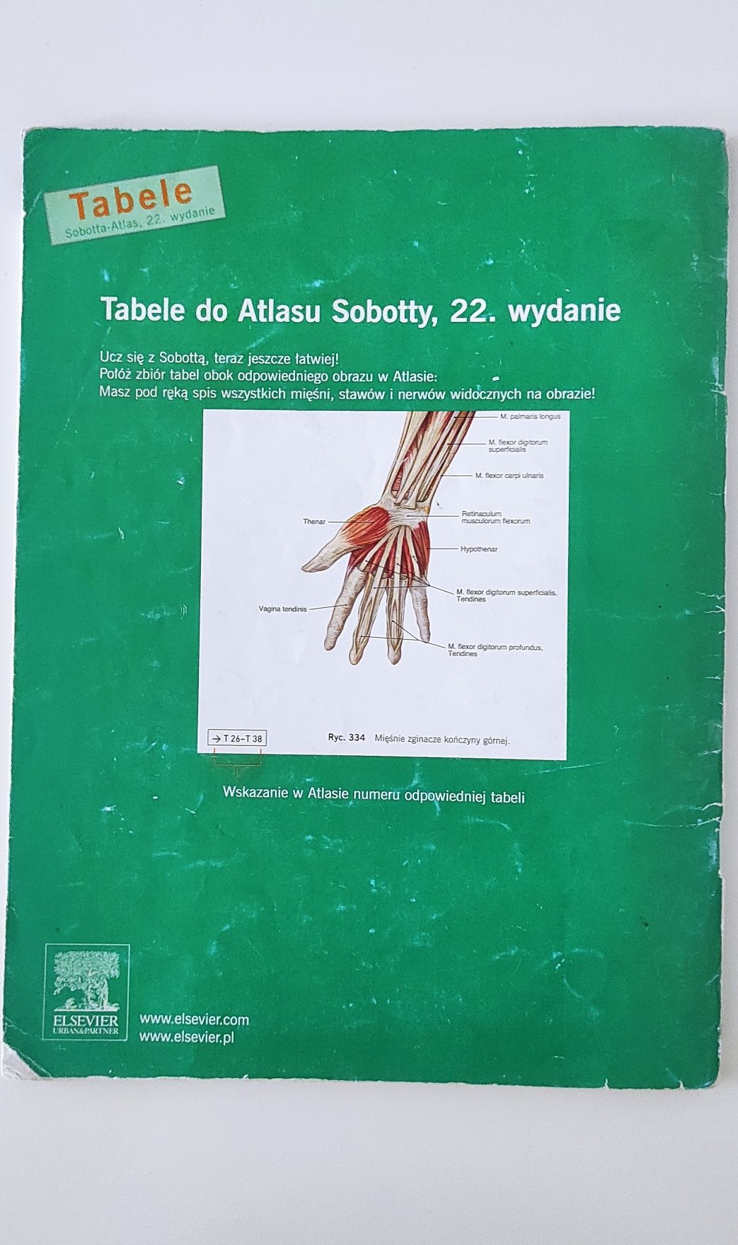 Sobotta Atlas anatomii człowieka tabele mięśni