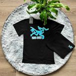БЕЗ ПЕРЕДПЛАТ - Arcteryx 1989-2023 - Футболка Артерикс - ХС С М Л ХЛ