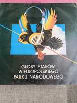 Płyty winylowe Głosy ptakòw i inne