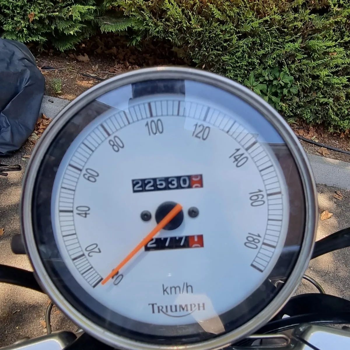 Triumph Speed master