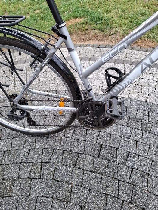 Rower Alpina eco